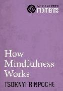 How Mindfulness Works