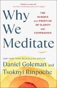 Why We Meditate