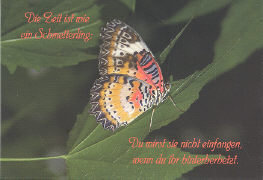 Die Zeit ist ein Schmetterling: Du wirst sie nicht einfangen, wenn du ihr hinterherhetzt.