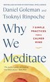 Why We Meditate