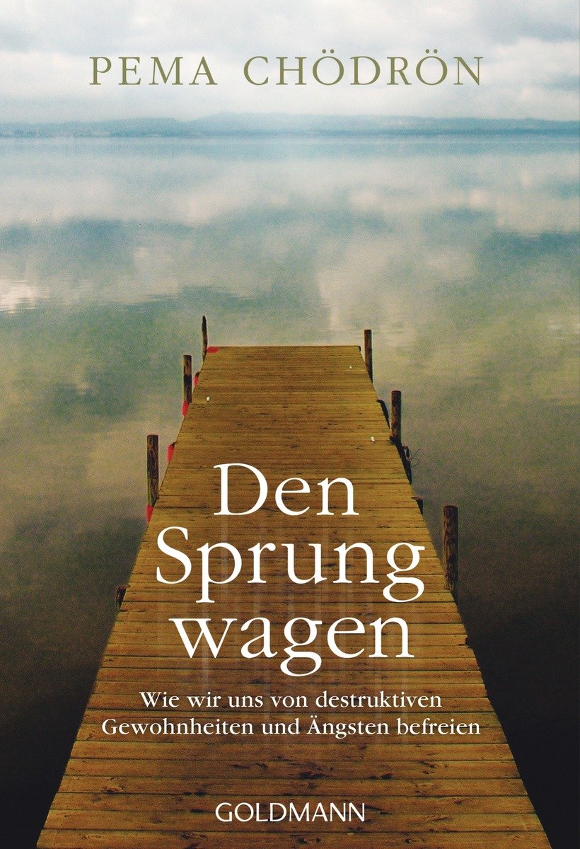 Den Sprung wagen