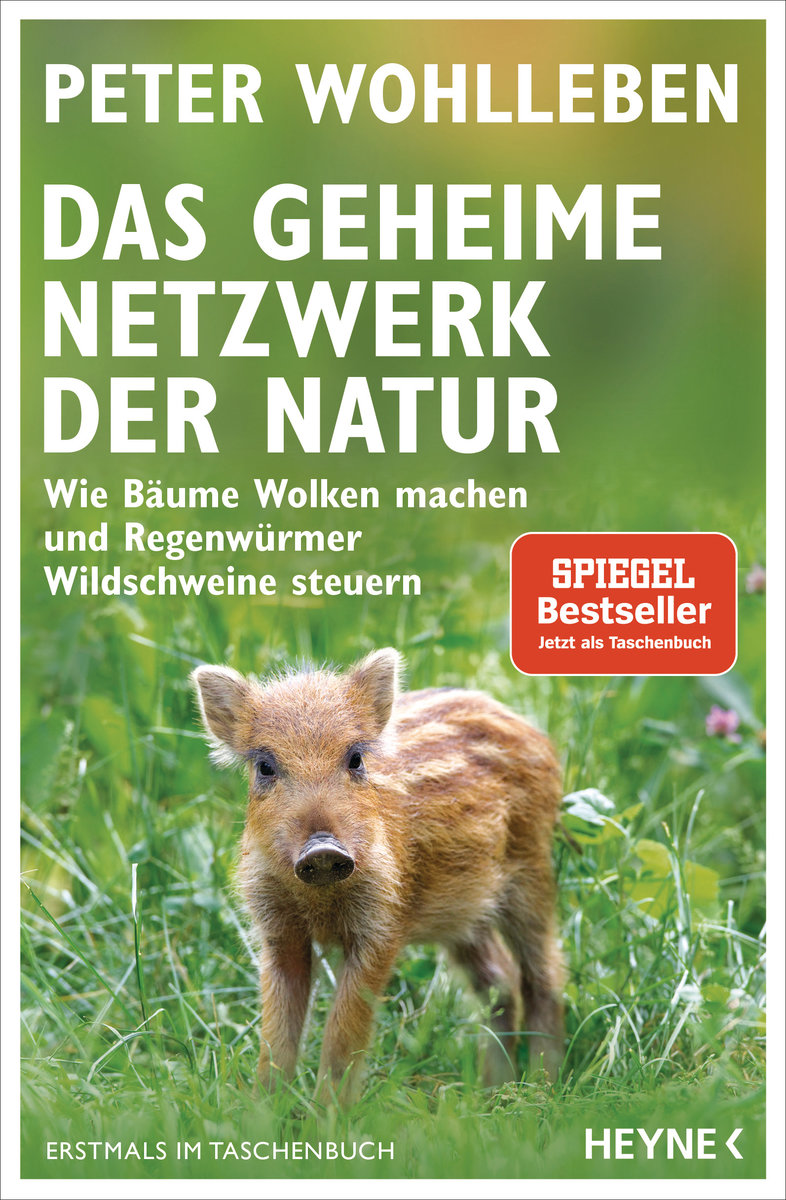 Das geheime Netzwerk der Natur