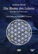 Die Blume des Lebens und der Quantenraum