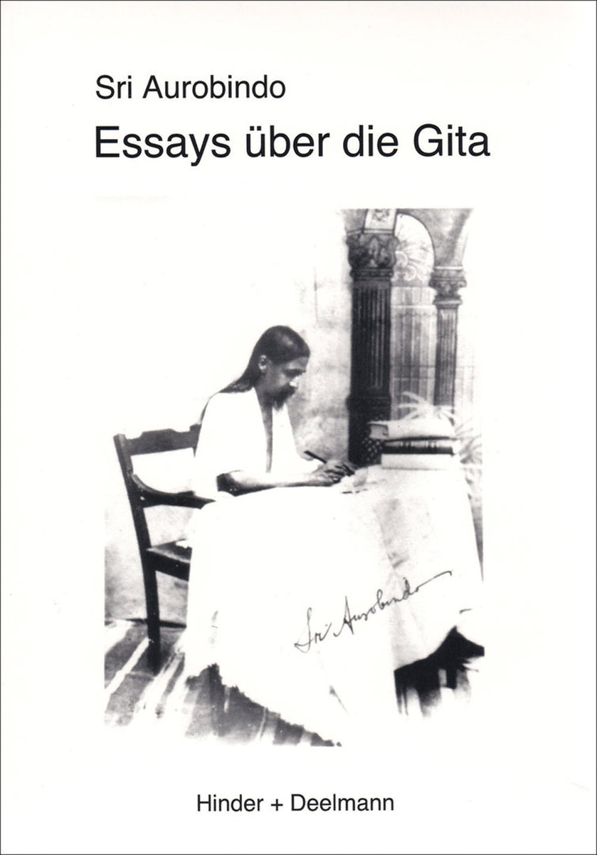 Essays über die Gita