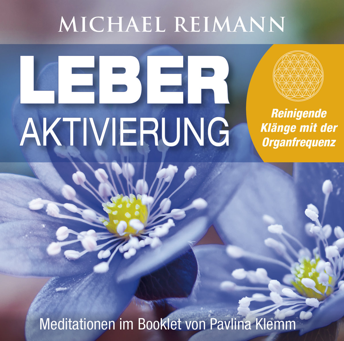 LEBER AKTIVIERUNG (mit Solfeggio-Frequenz 528 Hertz)