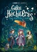 Gatos Y Hechiceras